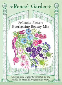 Visuel officiel de Renee's Garden associé aux semences de Mélange de fleurs Everlasting Beauty, référence RN5693. Ce mélange de fleurs annuelles destinées aux bouquets frais et secs comprend des amarantes, des immortelles, des héliptères, des pieds-d’alouette, des nigelles et des statices. Leurs formes variées permettent de préparer des arrangements décoratifs après séchage.