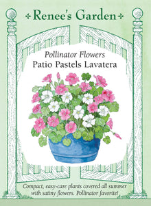 Visuel officiel de Renee's Garden associé aux semences de Lavatères en mélange Patio Pastels, référence RN5694. Cette sélection compacte porte de grandes fleurs satinées roses et blanches, en forme de coupe. Les plants buissonnants atteignent environ 60 à 75 cm (2 à 2,5 pi). Le feuillage rappelle une feuille d’érable. Le semencier propose le mélange pour les grands pots, les plates-bandes et les bouquets.