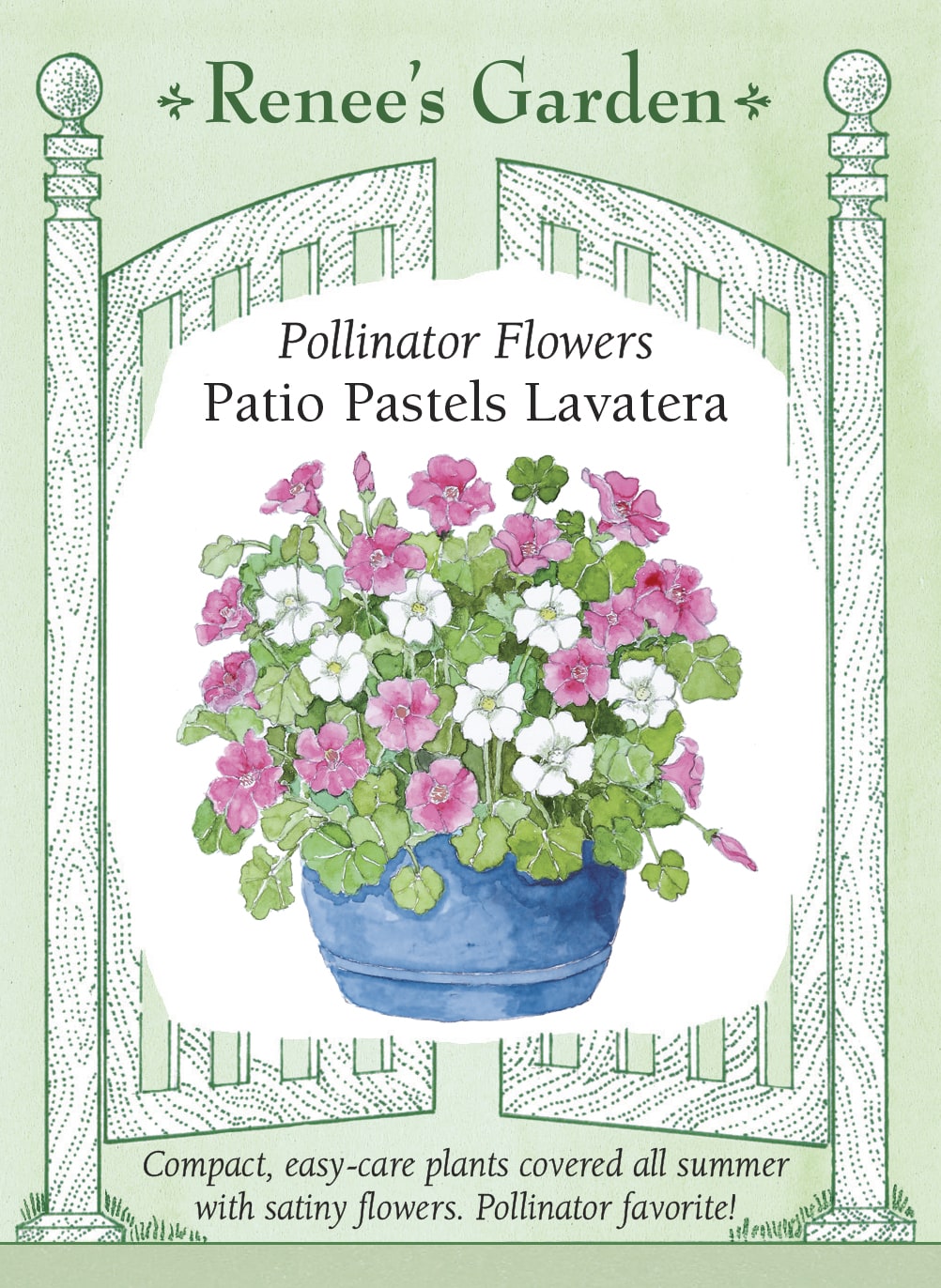 Visuel officiel de Renee's Garden associé aux semences de Lavatères en mélange Patio Pastels, référence RN5694. Cette sélection compacte porte de grandes fleurs satinées roses et blanches, en forme de coupe. Les plants buissonnants atteignent environ 60 à 75 cm (2 à 2,5 pi). Le feuillage rappelle une feuille d’érable. Le semencier propose le mélange pour les grands pots, les plates-bandes et les bouquets.