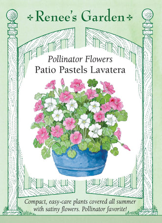 Visuel officiel de Renee's Garden associé aux semences de Lavatères en mélange Patio Pastels, référence RN5694. Cette sélection compacte porte de grandes fleurs satinées roses et blanches, en forme de coupe. Les plants buissonnants atteignent environ 60 à 75 cm (2 à 2,5 pi). Le feuillage rappelle une feuille d’érable. Le semencier propose le mélange pour les grands pots, les plates-bandes et les bouquets.