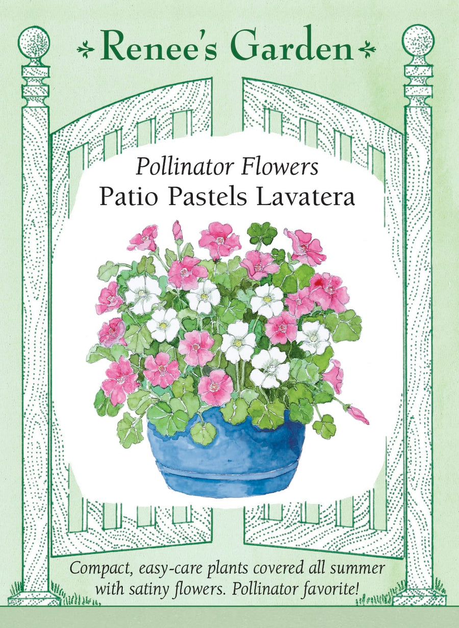 Visuel officiel de Renee's Garden associé aux semences de Lavatères en mélange Patio Pastels, référence RN5694. Cette sélection compacte porte de grandes fleurs satinées roses et blanches, en forme de coupe. Les plants buissonnants atteignent environ 60 à 75 cm (2 à 2,5 pi). Le feuillage rappelle une feuille d’érable. Le semencier propose le mélange pour les grands pots, les plates-bandes et les bouquets.