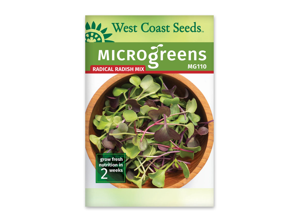 Sachet West Coast Seeds du mélange Radical Radish Mix, avec un bandeau vert et le nom sur fond rouge. La photo centrale présente un bol rond en bois rempli de petites feuilles vertes et pourpres, avec des tiges roses, pâles et violacées. Le code MG110 figure en haut à droite. Un encadré vert indique deux semaines en bas.