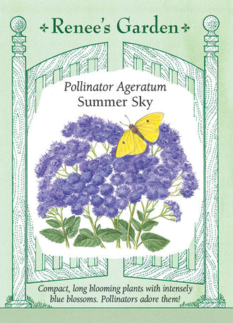 Visuel officiel de Renee's Garden associé aux semences d’agérate ‘Summer Sky’, référence RN5701. Cet agérate annuel produit des bouquets de petites fleurs bleues à texture plumeuse. Les plants compacts atteignent environ 45 à 60 cm (1,5 à 2 pi), selon le semencier. La floraison se prolonge durant l’été jusqu’au froid. Les fleurs apportent une masse de couleur bleue dans les plates-bandes.