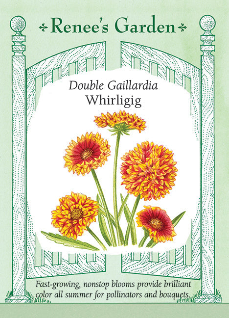 Visuel officiel de Renee's Garden associé aux semences de Gaillardes en mélange Whirligig, référence RN5702. Cette sélection porte des fleurs globuleuses combinant le rouge, l’acajou et le jaune doré. Les plants atteignent environ 45 à 60 cm (1,5 à 2 pi). Le semencier souligne une floraison prolongée et une bonne tenue à la chaleur. Les tiges peuvent être coupées pour des bouquets colorés.