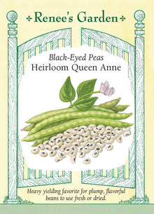 Visuel officiel de Renee's Garden pour les semences « Dolique à œil noir ‘Queen Anne’ », référence RN5708. Cette légumineuse appréciant la chaleur produit des grains qui peuvent être récoltés frais à écosser ou laissés sur le plant jusqu’à maturité pour le séchage. Les tiges atteignent environ 75 cm (2,5 pi), selon le semencier. Les grains cuits offrent une saveur douce et une texture crémeuse. Ils accompagnent le riz et conviennent aussi aux mijotés ou aux salades de légumineuses.