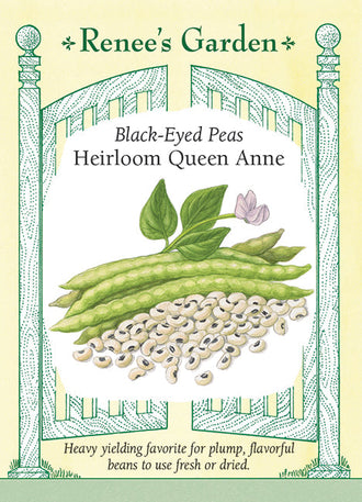 Visuel officiel de Renee's Garden pour les semences « Dolique à œil noir ‘Queen Anne’ », référence RN5708. Cette légumineuse appréciant la chaleur produit des grains qui peuvent être récoltés frais à écosser ou laissés sur le plant jusqu’à maturité pour le séchage. Les tiges atteignent environ 75 cm (2,5 pi), selon le semencier. Les grains cuits offrent une saveur douce et une texture crémeuse. Ils accompagnent le riz et conviennent aussi aux mijotés ou aux salades de légumineuses.