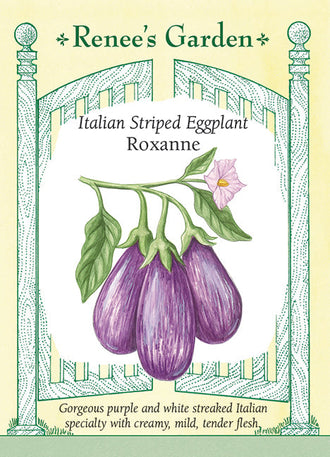 Visuel officiel de Renee's Garden pour les semences « Aubergine ‘Roxanne’ », référence RN5711. Cette aubergine produit des fruits lustrés pourpres, striés de blanc, longs d’environ 13 à 15 cm (5 à 6 po). Leur forme allongée s’arrondit vers la base. Le semencier précise que les calices sont dépourvus d’épines. La chair est décrite comme fine, crémeuse et peu chargée de graines, adaptée à la cuisson au four ou sur le gril.