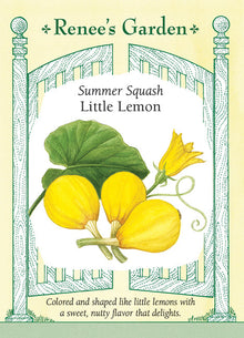 Visuel officiel de Renee's Garden pour les semences « Courge d’été ‘Lemon’ », référence RN5712. Cette courge d’été porte de petits fruits jaunes dont la forme rappelle un citron. Le semencier recommande de les récolter à environ 8 cm (3 po) de longueur. La chair tendre offre une saveur rappelant la noisette. Les fruits se prêtent à la vapeur, aux sautés et aux préparations grillées.