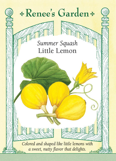 Visuel officiel de Renee's Garden pour les semences « Courge d’été ‘Lemon’ », référence RN5712. Cette courge d’été porte de petits fruits jaunes dont la forme rappelle un citron. Le semencier recommande de les récolter à environ 8 cm (3 po) de longueur. La chair tendre offre une saveur rappelant la noisette. Les fruits se prêtent à la vapeur, aux sautés et aux préparations grillées.