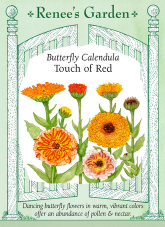Visuel officiel de Renee's Garden associé aux semences de Calendule ‘Touch of Red’, référence RN5715. Les fleurs de cette sélection présentent des tons jaune doré, orange et parfois chamois. Le revers des pétales porte une coloration rouge acajou distinctive. Le semencier les propose pour les plates-bandes et les bouquets. Les pétales sont également mentionnés comme comestibles.