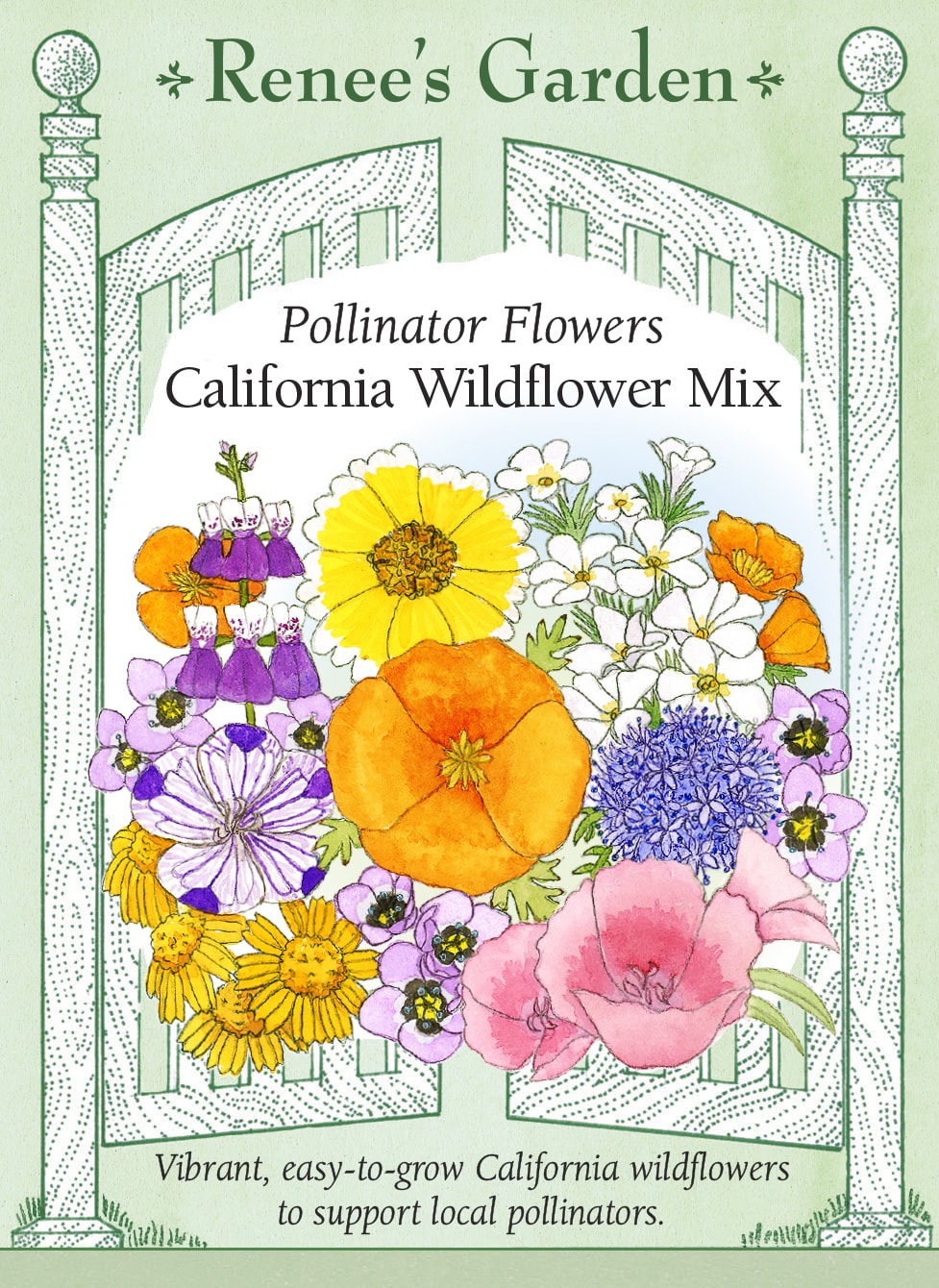 Visuel officiel de Renee's Garden associé aux semences de Mélange de fleurs California Native Mix, référence RN5716. Ce mélange réunit des espèces originaires de Californie, dont des gilias, des clarkias, des pavots de Californie et des némophiles. Les formes et les couleurs variées conviennent aux plantations d’allure naturelle. Les fleurs attirent les pollinisateurs et certaines plantes peuvent se ressemer.