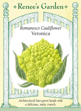 Visuel officiel de Renee's Garden pour les semences « Chou-fleur romanesco ‘Veronica’ », référence RN5717. ‘Veronica’ forme des pommes vert lime dont les petites pointes s’organisent en spirales. La texture est dense et croquante, avec une saveur douce rappelant la noisette. Le semencier annonce une maturité de 75 à 85 jours.