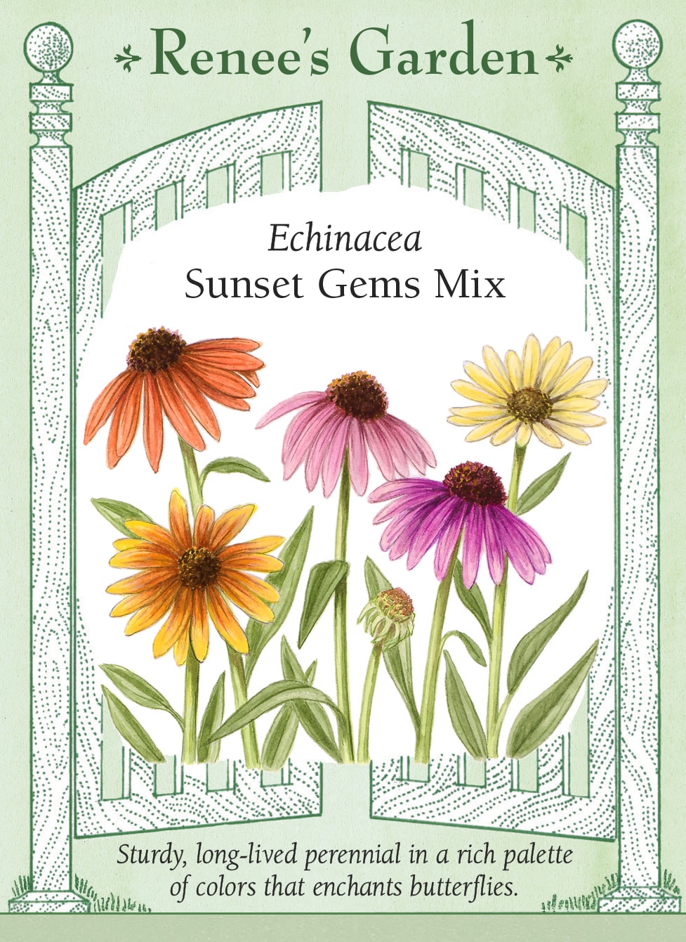 Visuel officiel de Renee's Garden associé aux semences d’échinacées en mélange Sunset Gems, référence RN5720. Ce mélange réunit des fleurs saumon, roses, jaunes, corail et dorées. Le semencier décrit une floraison de milieu d’été qui peut se prolonger en automne. Les plants établis conviennent aux plates-bandes et aux bouquets. Les couleurs varient entre les plants issus du semis.