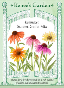 Visuel officiel de Renee's Garden associé aux semences d’échinacées en mélange Sunset Gems, référence RN5720. Ce mélange réunit des fleurs saumon, roses, jaunes, corail et dorées. Le semencier décrit une floraison de milieu d’été qui peut se prolonger en automne. Les plants établis conviennent aux plates-bandes et aux bouquets. Les couleurs varient entre les plants issus du semis.