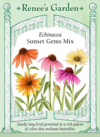Visuel officiel de Renee's Garden associé aux semences d’échinacées en mélange Sunset Gems, référence RN5720. Ce mélange réunit des fleurs saumon, roses, jaunes, corail et dorées. Le semencier décrit une floraison de milieu d’été qui peut se prolonger en automne. Les plants établis conviennent aux plates-bandes et aux bouquets. Les couleurs varient entre les plants issus du semis.