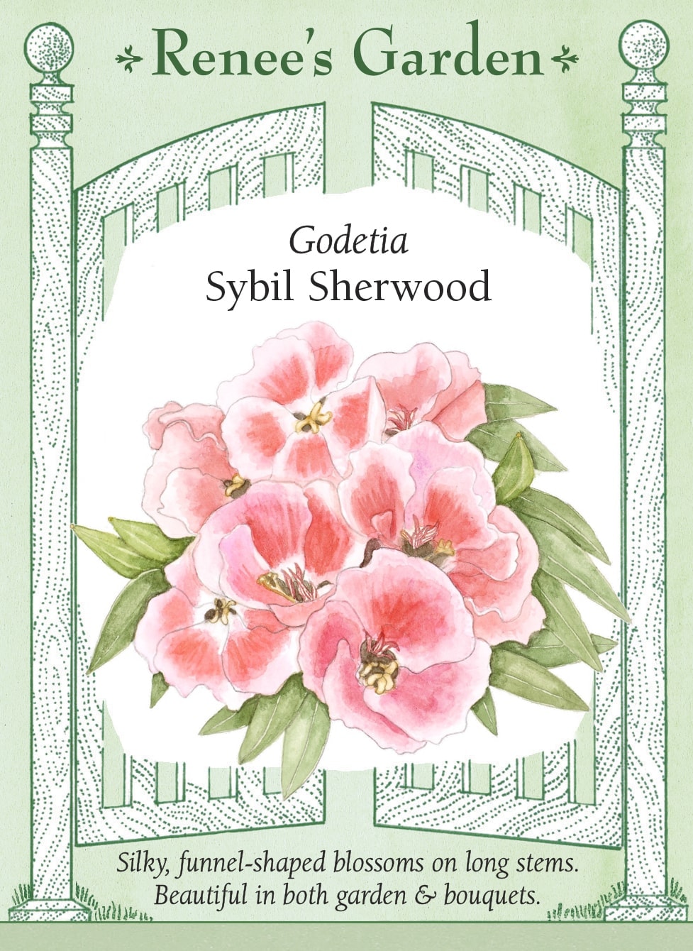 Visuel officiel de Renee's Garden associé aux semences de Godétia ‘Sybil Sherwood’, référence RN5721. Cette sélection de Clarkia amoena porte des fleurs rose saumon aux pétales satinés et légèrement ondulés. Le semencier souligne son aptitude aux températures fraîches du printemps. Les fleurs se prêtent aux bouquets. Le nom godétia reste couramment utilisé, même si la plante est classée dans le genre Clarkia.