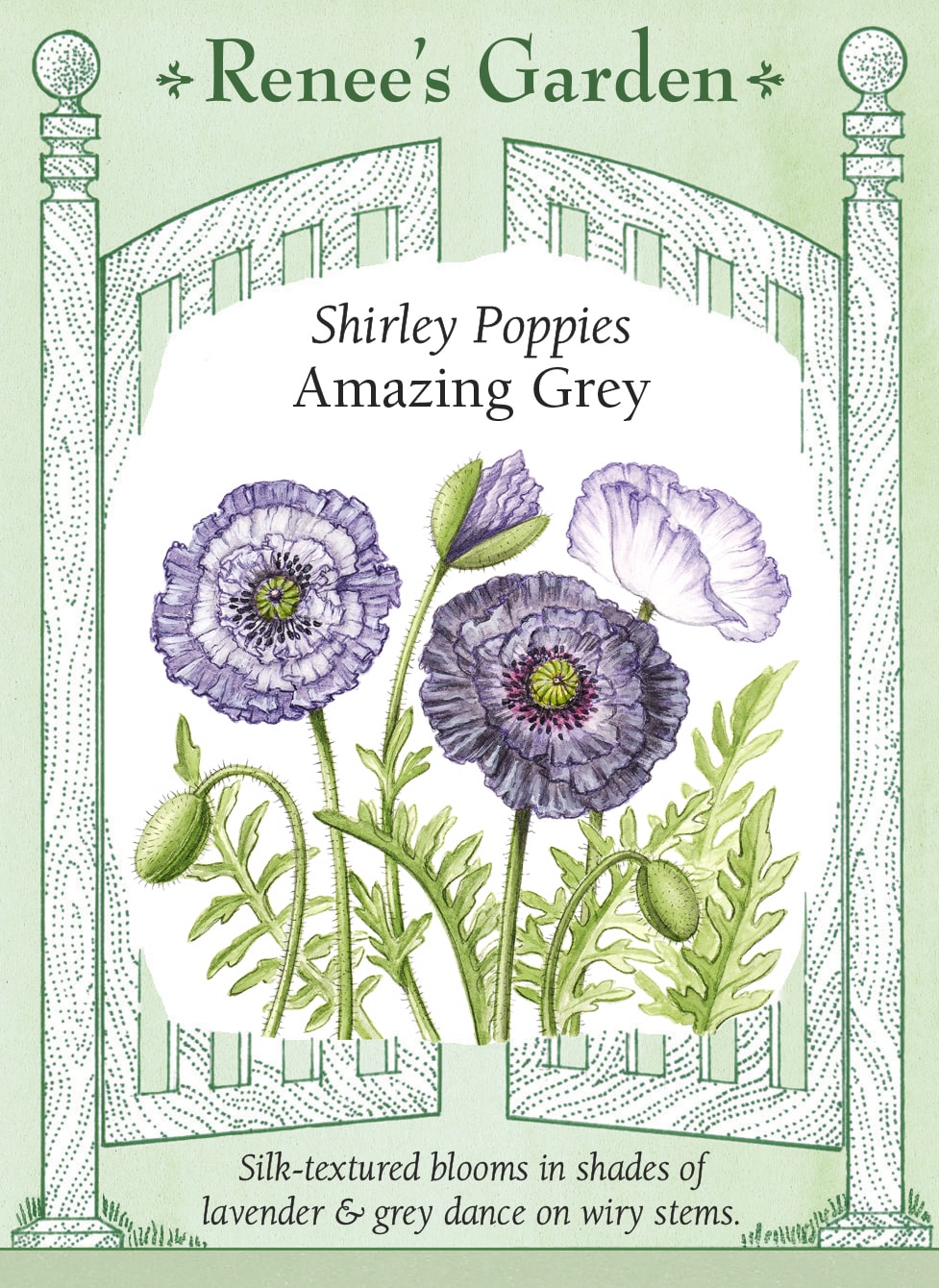 Visuel officiel de Renee's Garden associé aux semences de Coquelicots en mélange Amazing Grey, référence RN5727. Les fleurs simples et semi-doubles présentent des nuances gris tourterelle, lavande fumée et ardoise argentée. Certaines possèdent un centre blanc ou une bordure claire. Les pétales froissés et les tiges fines donnent un aspect léger à ce mélange de saison fraîche.