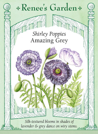 Visuel officiel de Renee's Garden associé aux semences de Coquelicots en mélange Amazing Grey, référence RN5727. Les fleurs simples et semi-doubles présentent des nuances gris tourterelle, lavande fumée et ardoise argentée. Certaines possèdent un centre blanc ou une bordure claire. Les pétales froissés et les tiges fines donnent un aspect léger à ce mélange de saison fraîche.