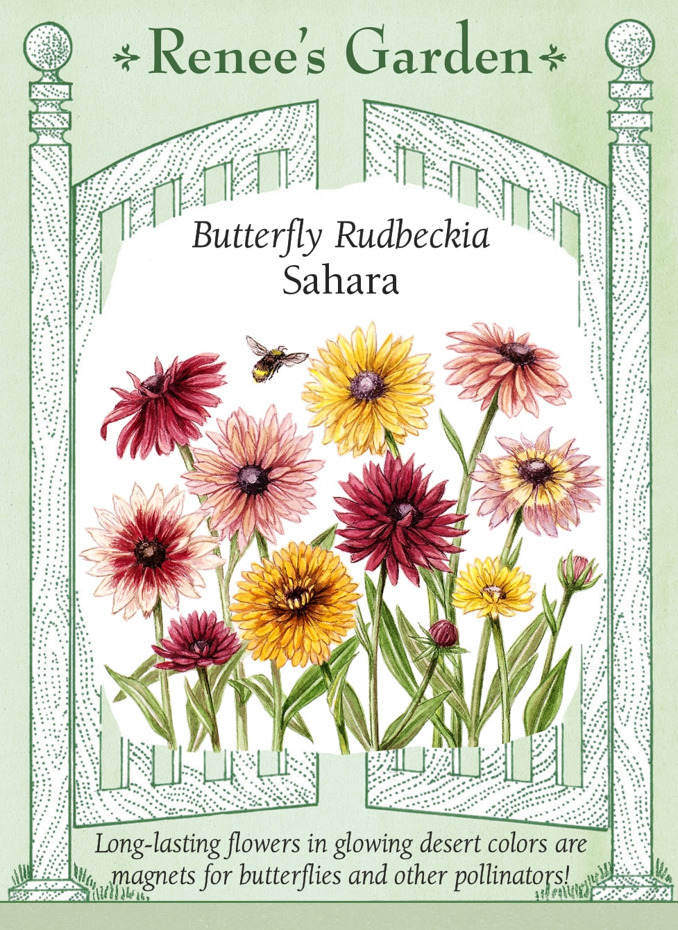 Visuel officiel de Renee's Garden associé aux semences de Rudbeckies en mélange Sahara, référence RN5728. Les fleurs d’environ 8 à 10 cm (3 à 4 po) présentent des tons de vieux rose, de cuivre, d’or, de chocolat et de bordeaux. Les plantes compactes atteignent environ 60 à 75 cm (2 à 2½ pi) et peuvent fleurir dès la première saison.