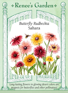 Visuel officiel de Renee's Garden associé aux semences de Rudbeckies en mélange Sahara, référence RN5728. Les fleurs d’environ 8 à 10 cm (3 à 4 po) présentent des tons de vieux rose, de cuivre, d’or, de chocolat et de bordeaux. Les plantes compactes atteignent environ 60 à 75 cm (2 à 2½ pi) et peuvent fleurir dès la première saison.