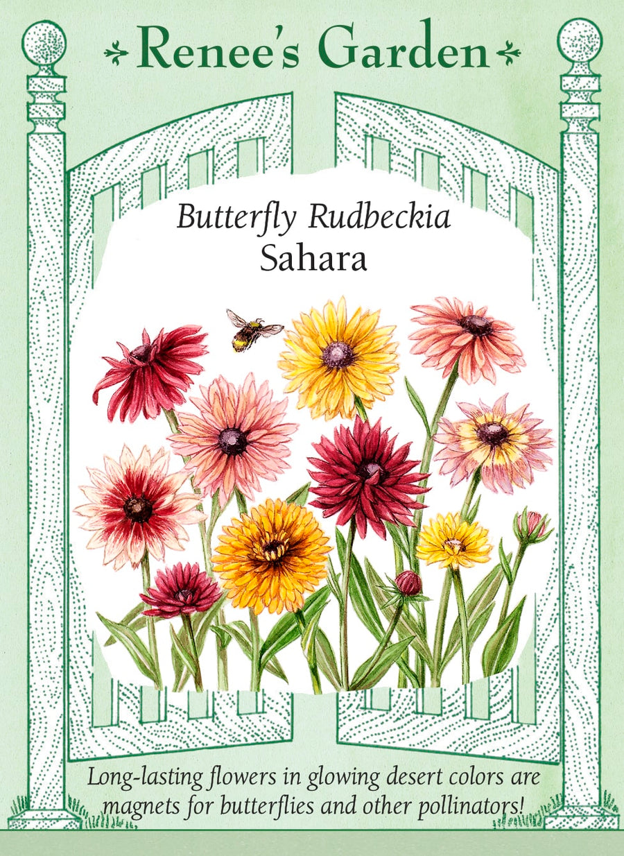 Visuel officiel de Renee's Garden associé aux semences de Rudbeckies en mélange Sahara, référence RN5728. Les fleurs d’environ 8 à 10 cm (3 à 4 po) présentent des tons de vieux rose, de cuivre, d’or, de chocolat et de bordeaux. Les plantes compactes atteignent environ 60 à 75 cm (2 à 2½ pi) et peuvent fleurir dès la première saison.