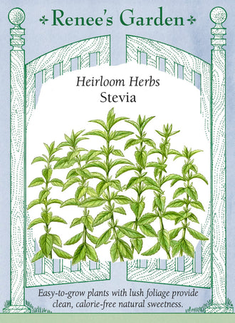 Visuel officiel de Renee's Garden associé aux semences de Stévia ‘Sweetie Star’, référence RN5729. Cette stévia forme un feuillage vert dont les feuilles possèdent une saveur sucrée caractéristique. Le semencier propose de les utiliser fraîches dans des boissons ou de les sécher pour un usage culinaire. La plante appartient à Stevia rebaudiana.