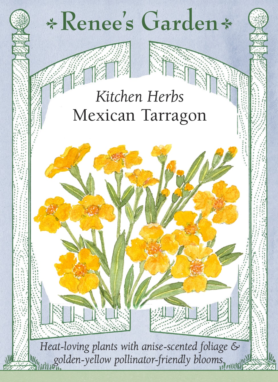Visuel officiel de Renee's Garden associé aux semences d’estragon du Mexique, référence RN5730. Cette plante aromatique appartient à Tagetes lucida. Ses feuilles étroites dégagent un parfum anisé, et de petites fleurs jaune doré apparaissent en fin de saison. Le semencier souligne son aptitude à la chaleur. Le nom courant ne doit pas conduire à la confondre avec l’estragon français, qui appartient à un autre genre botanique.