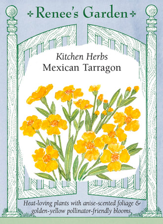 Visuel officiel de Renee's Garden associé aux semences d’estragon du Mexique, référence RN5730. Cette plante aromatique appartient à Tagetes lucida. Ses feuilles étroites dégagent un parfum anisé, et de petites fleurs jaune doré apparaissent en fin de saison. Le semencier souligne son aptitude à la chaleur. Le nom courant ne doit pas conduire à la confondre avec l’estragon français, qui appartient à un autre genre botanique.