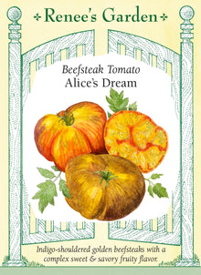 Visuel officiel de Renee's Garden pour les semences « Tomate ‘Alice’s Dream’ », référence RN5731. Cette tomate produit de gros fruits légèrement aplatis, jaune orangé, aux épaules pourpre indigo. La chair jaune est marbrée de rouge et décrite comme dense et charnue. Le semencier souligne une saveur équilibrée avec des notes fruitées. Les plants sont indéterminés; les fruits se prêtent aux tranches fraîches.