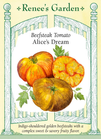 Visuel officiel de Renee's Garden pour les semences « Tomate ‘Alice’s Dream’ », référence RN5731. Cette tomate produit de gros fruits légèrement aplatis, jaune orangé, aux épaules pourpre indigo. La chair jaune est marbrée de rouge et décrite comme dense et charnue. Le semencier souligne une saveur équilibrée avec des notes fruitées. Les plants sont indéterminés; les fruits se prêtent aux tranches fraîches.