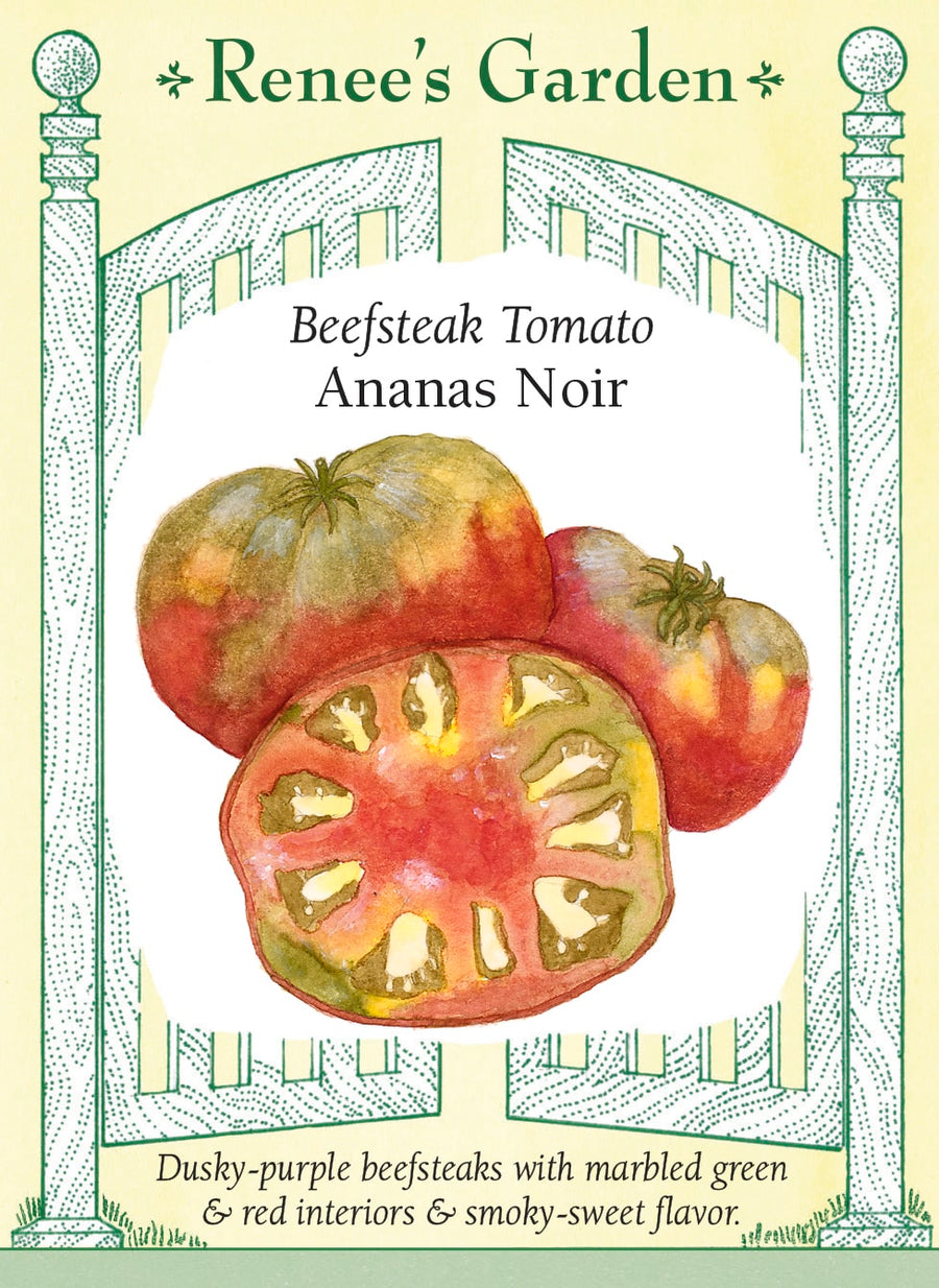 Visuel officiel de Renee's Garden pour les semences « Tomate ‘Ananas Noir’ », référence RN5732. Cette sélection belge porte de gros fruits côtelés, à peau vert sombre teintée de pourpre et de bronze. La chair vert lime présente des marbrures rouges. Le semencier indique des fruits pouvant approcher 450 g (1 lb), sur des plants indéterminés. La maturité est décrite comme intermédiaire à tardive.