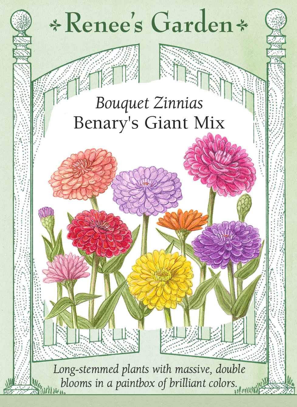 Visuel officiel de Renee's Garden associé aux semences de Zinnias en mélange Benary’s Giant, référence RN5733. Ce mélange de grandes fleurs doubles réunit de nombreux tons, dont le rouge, l’orange, le rose carmin, le corail, le vert lime, le pourpre, le blanc et le jaune doré. Les longues tiges conviennent à la coupe régulière.