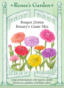 Visuel officiel de Renee's Garden associé aux semences de Zinnias en mélange Benary’s Giant, référence RN5733. Ce mélange de grandes fleurs doubles réunit de nombreux tons, dont le rouge, l’orange, le rose carmin, le corail, le vert lime, le pourpre, le blanc et le jaune doré. Les longues tiges conviennent à la coupe régulière.