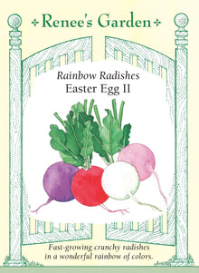 Visuel officiel de Renee's Garden pour les semences « Radis en mélange Easter Egg II », référence RN5760. Ce mélange donne des radis ronds aux couleurs rouge cerise, blanche, pourpre et rose. La chair demeure blanche et croquante, avec une saveur douce pour ce type de radis. Le semencier souligne une croissance rapide. Les couleurs permettent de préparer des crudités et des garnitures variées à partir d’une même planche.