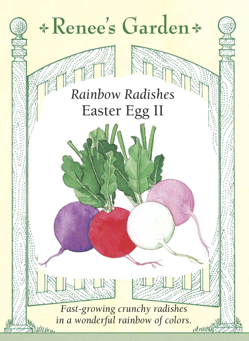 Visuel officiel de Renee's Garden pour les semences « Radis en mélange Easter Egg II », référence RN5760. Ce mélange donne des radis ronds aux couleurs rouge cerise, blanche, pourpre et rose. La chair demeure blanche et croquante, avec une saveur douce pour ce type de radis. Le semencier souligne une croissance rapide. Les couleurs permettent de préparer des crudités et des garnitures variées à partir d’une même planche.
