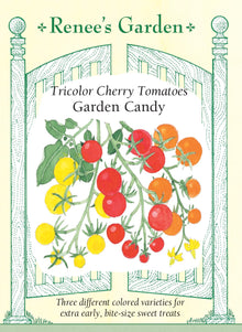 Visuel officiel de Renee's Garden pour les semences « Tomates cerises en mélange Garden Candy », référence RN5780. Ce mélange réunit ‘Sungold’, orange, ‘Sweet Gold’, jaune, et ‘Supersweet 100’, rouge. Le semencier distingue les graines vertes de ‘Sungold’, jaunes de ‘Sweet Gold’ et roses de ‘Supersweet 100’. Les plants sont hauts et produisent de nombreux petits fruits doux. Les trois variétés se suivent séparément au moment de la récolte.