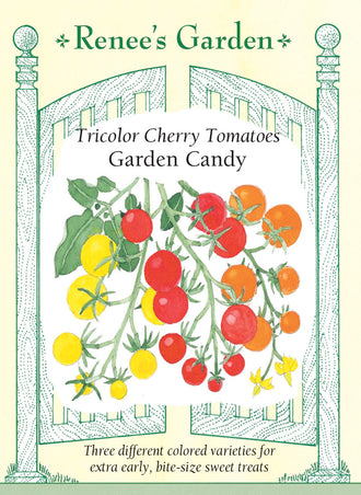 Visuel officiel de Renee's Garden pour les semences « Tomates cerises en mélange Garden Candy », référence RN5780. Ce mélange réunit ‘Sungold’, orange, ‘Sweet Gold’, jaune, et ‘Supersweet 100’, rouge. Le semencier distingue les graines vertes de ‘Sungold’, jaunes de ‘Sweet Gold’ et roses de ‘Supersweet 100’. Les plants sont hauts et produisent de nombreux petits fruits doux. Les trois variétés se suivent séparément au moment de la récolte.