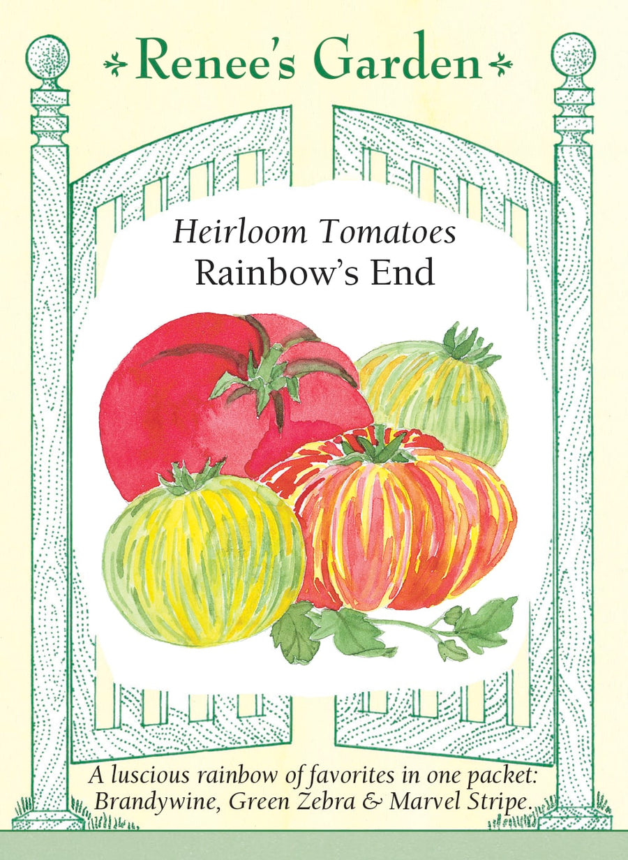 Visuel officiel de Renee's Garden pour les semences « Tomates en mélange Rainbow’s End », référence RN5795. Ce mélange réunit ‘Brandywine’, ‘Marvel Stripe’ et ‘Green Zebra’. Les graines roses correspondent à ‘Brandywine’, les non colorées à ‘Marvel Stripe’ et les vertes à ‘Green Zebra’. Les fruits diffèrent par leur taille, leur couleur et leur équilibre de saveurs. Il faut conserver l’identification de chaque plant pour suivre sa maturité.