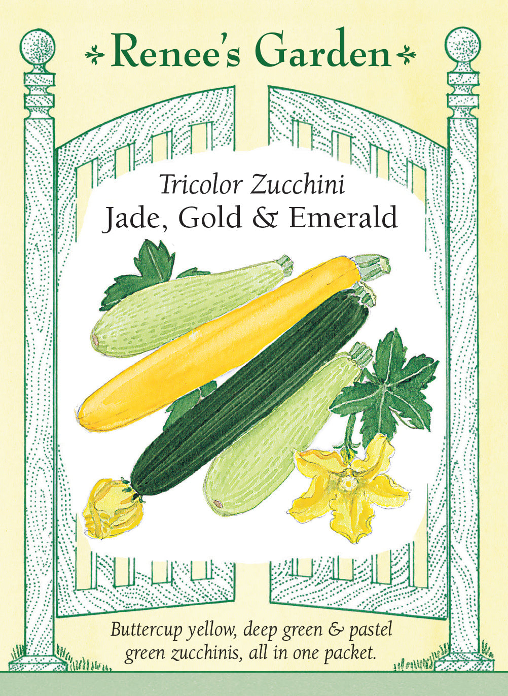 Visuel officiel de Renee's Garden pour les semences « Courgettes en mélange Tricolor Mix », référence RN5810. Ce mélange réunit ‘Salman’, vert pâle, ‘Twilight’, vert foncé, et ‘Golden Delight’, jaune. Les graines roses correspondent à ‘Salman’, les vertes à ‘Twilight’ et les graines non colorées à ‘Golden Delight’. Le semencier décrit des textures tendres et des usages variés en cuisine. Les trois couleurs permettent de composer des récoltes contrastées.