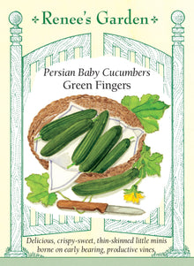 Visuel officiel de Renee's Garden pour les semences « Concombre ‘Green Fingers’ », référence RN5826. ‘Green Fingers’ produit de petits concombres lisses, à peau fine, qui se récoltent à environ 8 à 13 cm (3 à 5 po). La chair est croquante. Le semencier précise que cette sélection est parthénocarpique et qu’elle peut former des fruits sans fécondation. Les plants sont décrits comme vigoureux et précoces, avec une tolérance au blanc.
