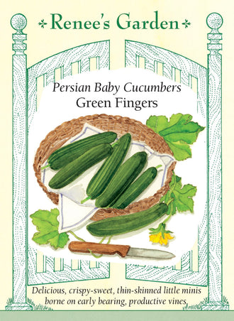 Visuel officiel de Renee's Garden pour les semences « Concombre ‘Green Fingers’ », référence RN5826. ‘Green Fingers’ produit de petits concombres lisses, à peau fine, qui se récoltent à environ 8 à 13 cm (3 à 5 po). La chair est croquante. Le semencier précise que cette sélection est parthénocarpique et qu’elle peut former des fruits sans fécondation. Les plants sont décrits comme vigoureux et précoces, avec une tolérance au blanc.