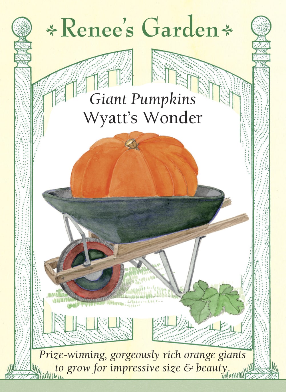 Visuel officiel de Renee's Garden pour les semences « Citrouille ‘Wyatt’s Wonder’ », référence RN5828. Cette sélection produit de très gros fruits orange foncé, arrondis et profondément côtelés. Le semencier annonce un potentiel d’environ 32 à 68 kg (70 à 150 lb), selon les conditions de culture. La variété est proposée pour les citrouilles d’exposition. Une telle taille demande de prévoir suffisamment d’espace et de manipuler les fruits avec une aide adaptée.