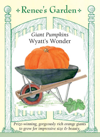 Visuel officiel de Renee's Garden pour les semences « Citrouille ‘Wyatt’s Wonder’ », référence RN5828. Cette sélection produit de très gros fruits orange foncé, arrondis et profondément côtelés. Le semencier annonce un potentiel d’environ 32 à 68 kg (70 à 150 lb), selon les conditions de culture. La variété est proposée pour les citrouilles d’exposition. Une telle taille demande de prévoir suffisamment d’espace et de manipuler les fruits avec une aide adaptée.