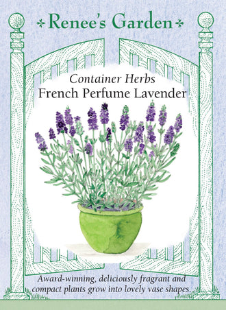 Visuel officiel de Renee's Garden associé aux semences de Lavande ‘French Perfume’, référence RN5832. Cette lavande compacte forme des plants en vase d’environ 30 à 46 cm (12 à 18 po). Le semencier indique une floraison possible dès la première année à partir du semis. Les épis pourpre foncé sont fortement parfumés. La fiche l’identifie comme Lavandula angustifolia, malgré le mot French de son nom commercial.