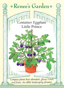 Visuel officiel de Renee's Garden pour les semences « Aubergine ‘Little Prince’ », référence RN5833. ‘Little Prince’ porte de petits fruits ovales et lustrés d’environ 8 à 10 cm (3 à 4 po). Les plants compacts possèdent des feuilles veloutées et des fleurs lavande. Le semencier recommande cette variété pour les contenants et les petits espaces. Les fruits regroupés se récoltent pour leur chair tendre, destinée à être cuisinée.