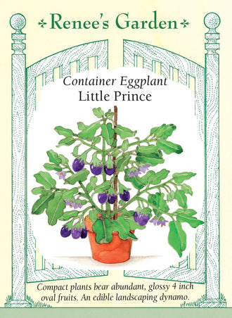 Visuel officiel de Renee's Garden pour les semences « Aubergine ‘Little Prince’ », référence RN5833. ‘Little Prince’ porte de petits fruits ovales et lustrés d’environ 8 à 10 cm (3 à 4 po). Les plants compacts possèdent des feuilles veloutées et des fleurs lavande. Le semencier recommande cette variété pour les contenants et les petits espaces. Les fruits regroupés se récoltent pour leur chair tendre, destinée à être cuisinée.