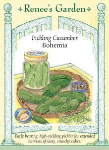 Visuel officiel de Renee's Garden pour les semences « Concombre ‘Bohemia’ », référence RN5834. Cet hybride à cornichons donne des fruits vert foncé, croquants et légèrement courbés, dont la peau présente les petites bosses typiques de ce type. Les plants sont monoïques et portent des fleurs mâles et femelles. Le semencier décrit une production précoce et prolongée. Les fruits peuvent être utilisés frais ou dans des recettes éprouvées de cornichons.