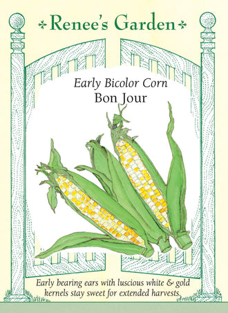 Visuel officiel de Renee's Garden pour les semences « Maïs sucré ‘Bon Jour’ », référence RN5835. Cet hybride précoce forme des épis bicolores aux grains blanc crème et jaune doré. Les tiges atteignent environ 1,8 à 2,1 m (6 à 7 pi), selon le semencier. Les épis présentent généralement 14 à 16 rangées de grains. La sélection est proposée pour sa texture tendre et pour une fenêtre de récolte qui ne se limite pas à une seule journée.