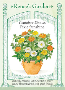 Visuel officiel de Renee's Garden associé aux semences de Zinnias nains en mélange Pixie Sunshine, référence RN5837. Les plantes compactes atteignent environ 20 à 30 cm (8 à 12 po). Le mélange associe des fleurs doubles jaune beurre, orange et blanches, d’environ 5 à 8 cm (2 à 3 po). Il convient aux contenants et aux bordures basses.
