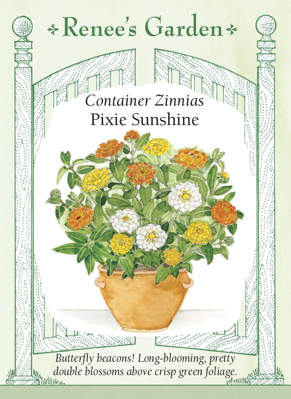 Visuel officiel de Renee's Garden associé aux semences de Zinnias nains en mélange Pixie Sunshine, référence RN5837. Les plantes compactes atteignent environ 20 à 30 cm (8 à 12 po). Le mélange associe des fleurs doubles jaune beurre, orange et blanches, d’environ 5 à 8 cm (2 à 3 po). Il convient aux contenants et aux bordures basses.